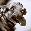 Linus