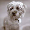 Zoe